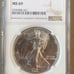 NGC MS 69 1991 Silver Eagle