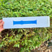 Surf Blue Apple Watch Band 38mm 40mm