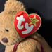 Rare Curly Ty beanie baby with tag errors