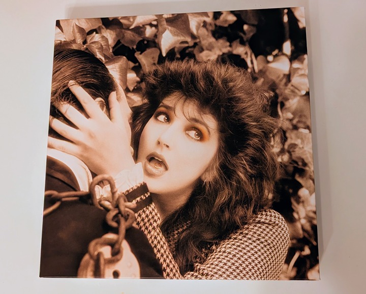 KATE BUSH REMASTERED VINYL BOX 1 - 4 LP RARE