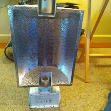 Grow light