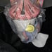 Scentsy Disney Dumbo Warmer