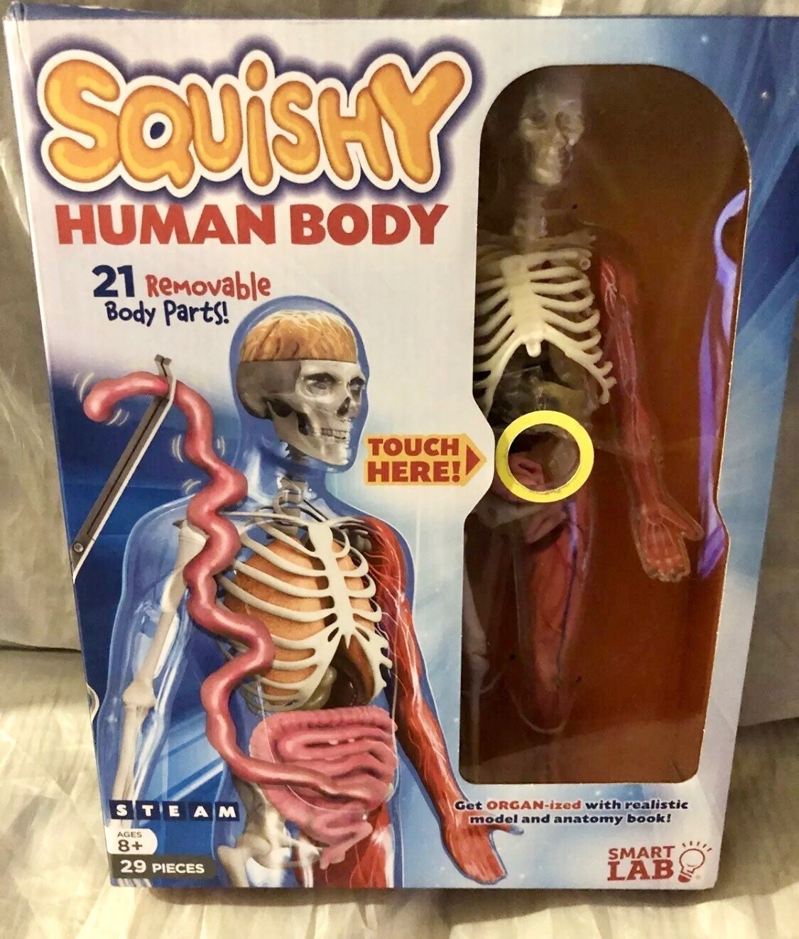SQUISHY HUMAN BODY EXPERIMENT TOY 29 PCS