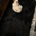 4x6 Black Fluffy Shag Rug for Bedroom, Machine Washable Soft Shaggy Fuzzy Rug