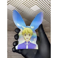 ⭐Fruits Basket Momiji Sohma 3D Lenticular Motion Car Sticker Decal Fruit Basket