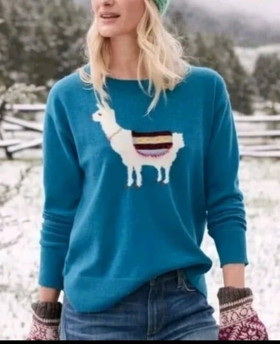 Sundance Catalog Wool Turquois Sweater Pullover Sz M Slit Llama Lagenlook Boho