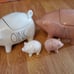 Rae Dunn Oink salt&pepper shakers set