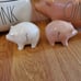 Rae Dunn Oink salt&pepper shakers set