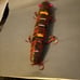 Hand Carved and Painted Novelty Fishing Lure