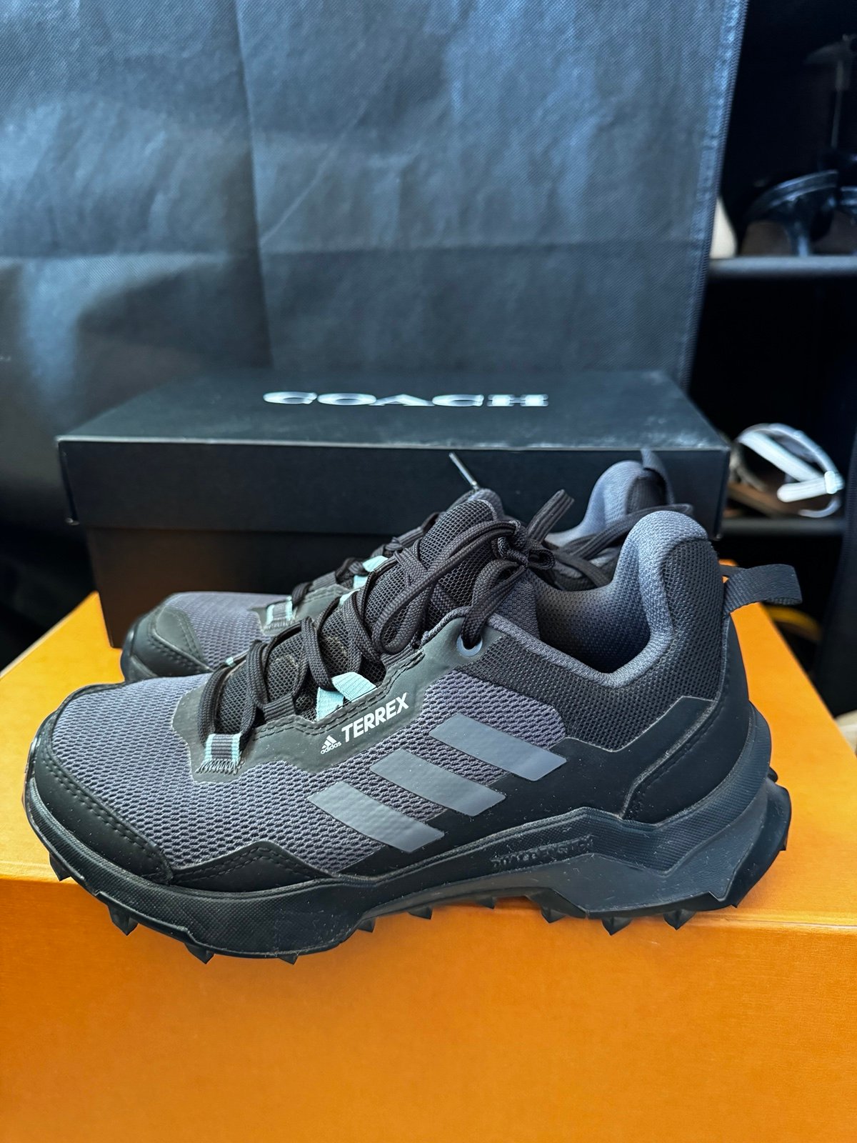 Adidas Terrex Hiking Shoes