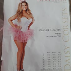 LAVISH Daisy Corsets Flirty Bunny Corset Costume SIZE 3X