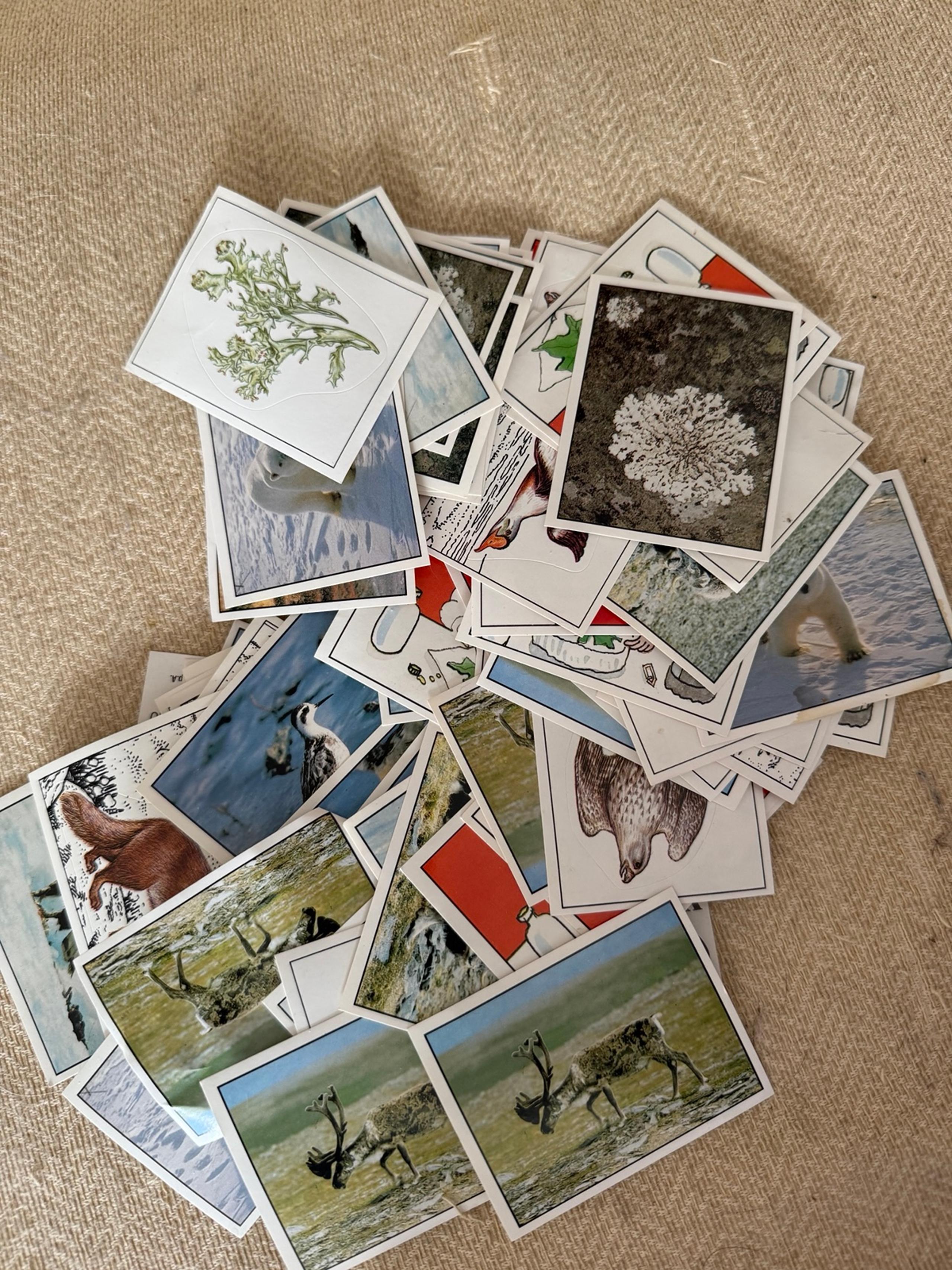 Stickers