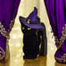 Bath and Body Works Halloween Cat Backpack Cosmetic Bag & Wallflower