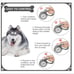 Retractable Dog Leash with Waste Bag Dis