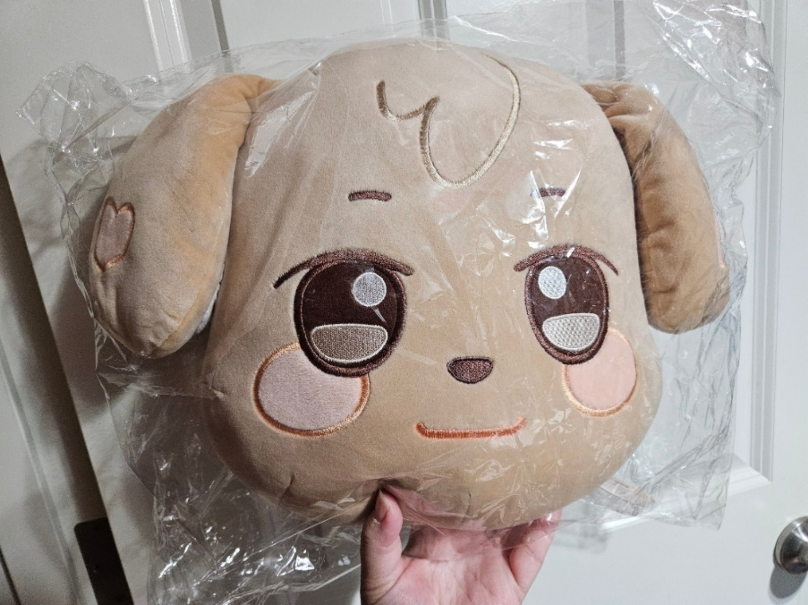 ユノ】ANITEEZ チュドンイ フェイスクッション Face cushion