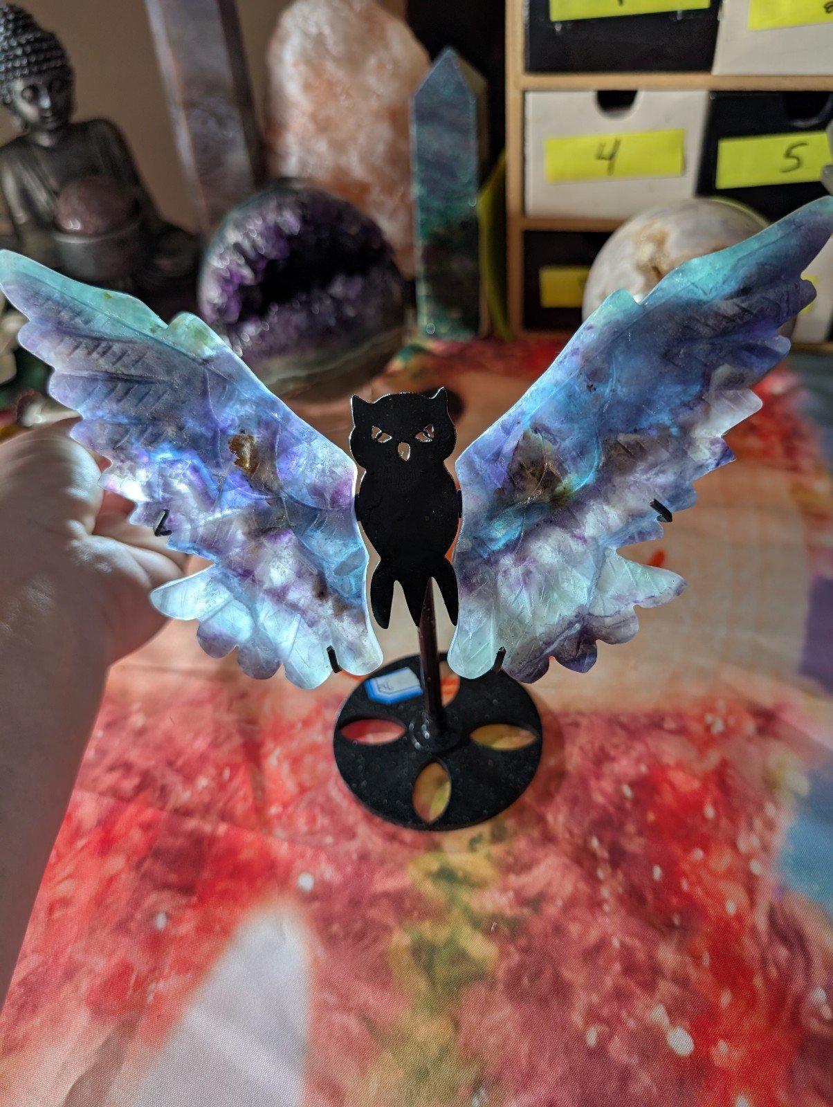 Fluorite Owl