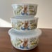 Beatrix Potter Peter Rabbit Ceramic Storage Bowls (3)