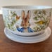 Beatrix Potter Peter Rabbit Ceramic Storage Bowls (3)