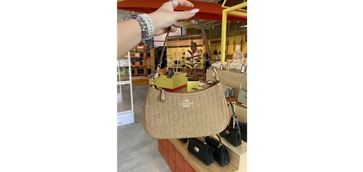 coach teri bag