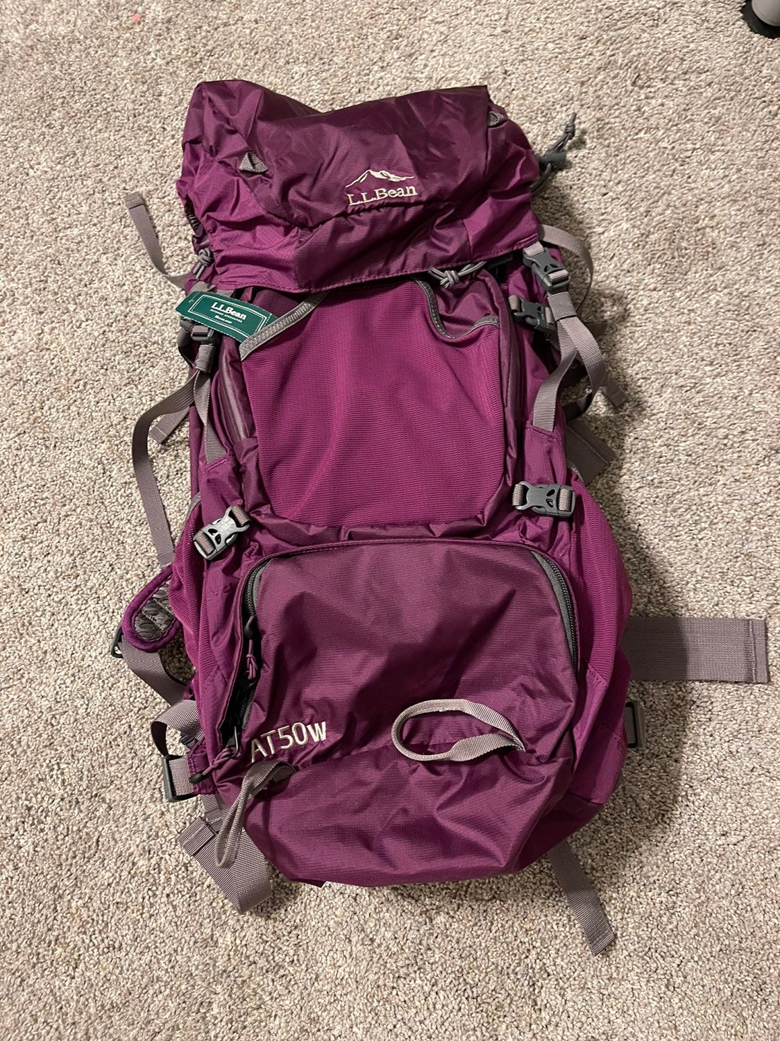 NEW L.L Bean Hiking Bag