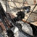 Roval Traverse 29” Wheelset