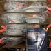 Amico 19 Pack 5/6 inch 5CCT LED Recessed Lighting, Dimmable, 12.5W=100W, 950LM,