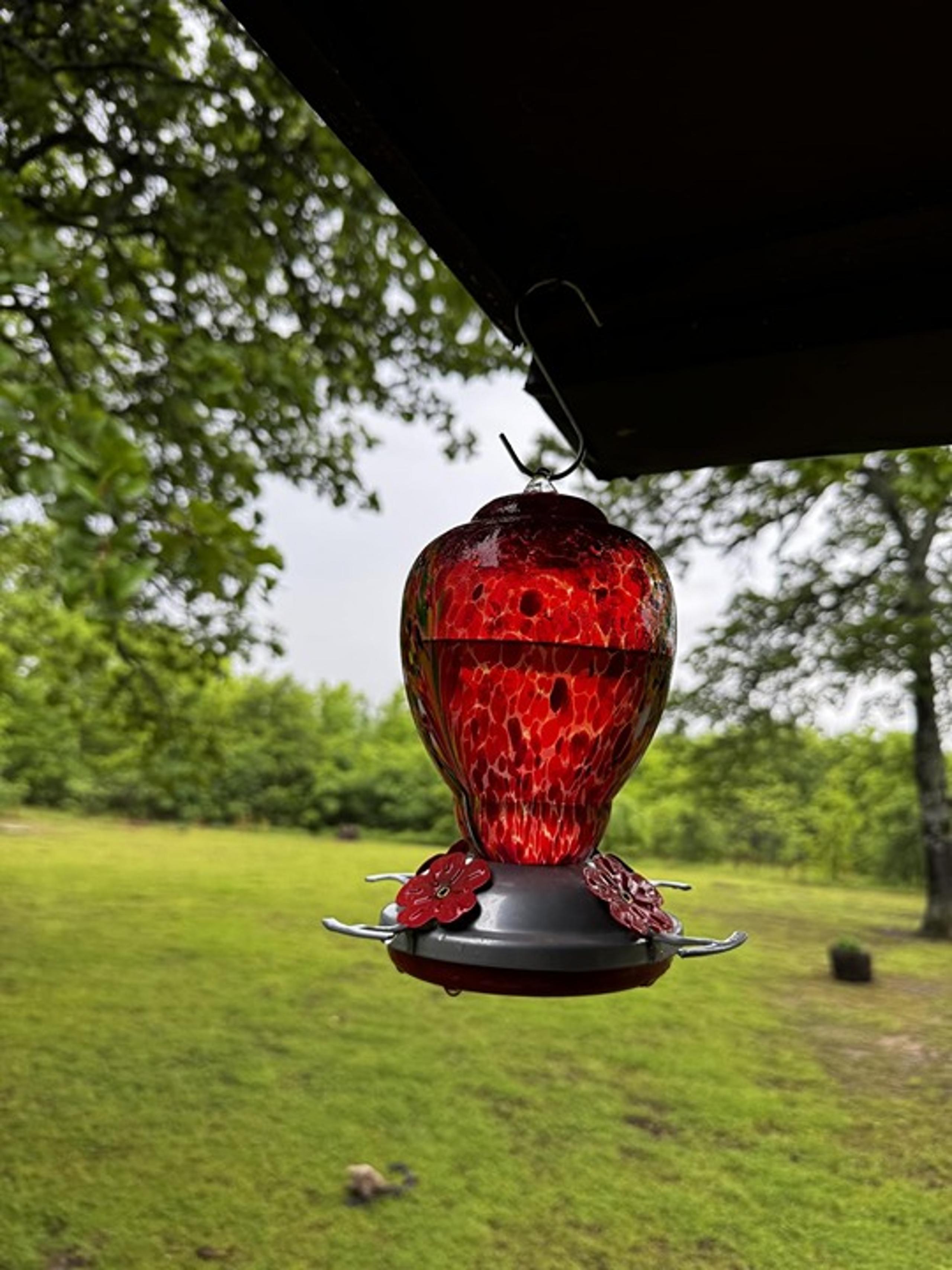 Hummingbird Feeder for Outdoors Patio Large 32 Ounces