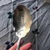 Solid silver Gorham Versailles Salad