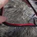 Betsey Johnson Clear Zip Cosmetic Bag Pouch See Through PVC