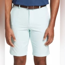 NWT Walter Hagen Men’s Perfect 11 Seersucker 10” Golf Shorts Green - Size 40