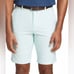 NWT Walter Hagen Men’s Perfect 11 Seersucker 10” Golf Shorts Green - Size 40