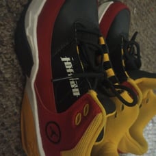 Search Dj6245607 shoes Jordan flight