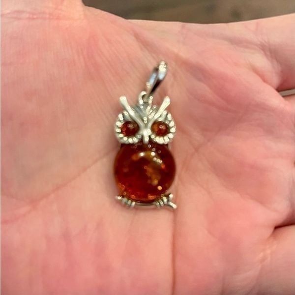 Stunning Baltic Amber Owl Necklace Statement Pendant Charm Sterling Silver New