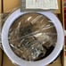 Radiance Ring Light 12” NEW FREE SHIPPING