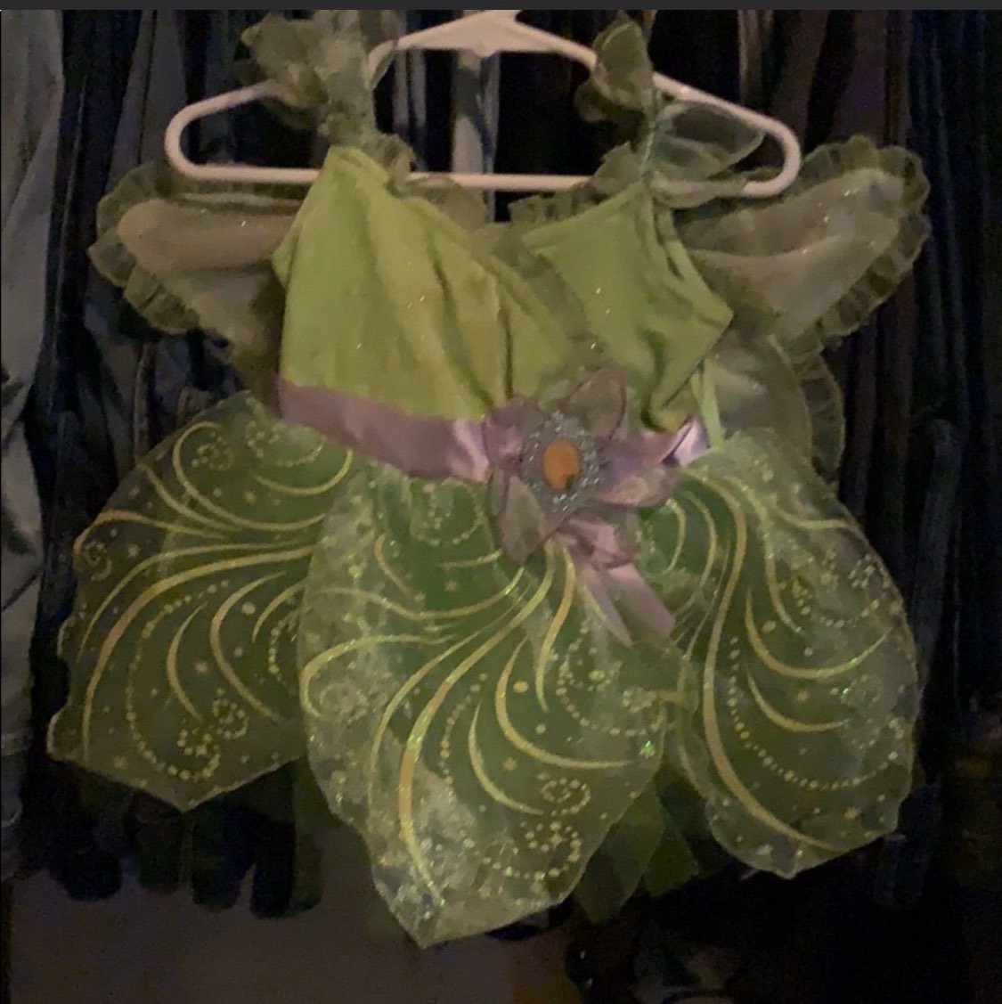 Disney Tinkerbell Costume