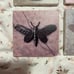 Melanie Martinez Portals Coasters