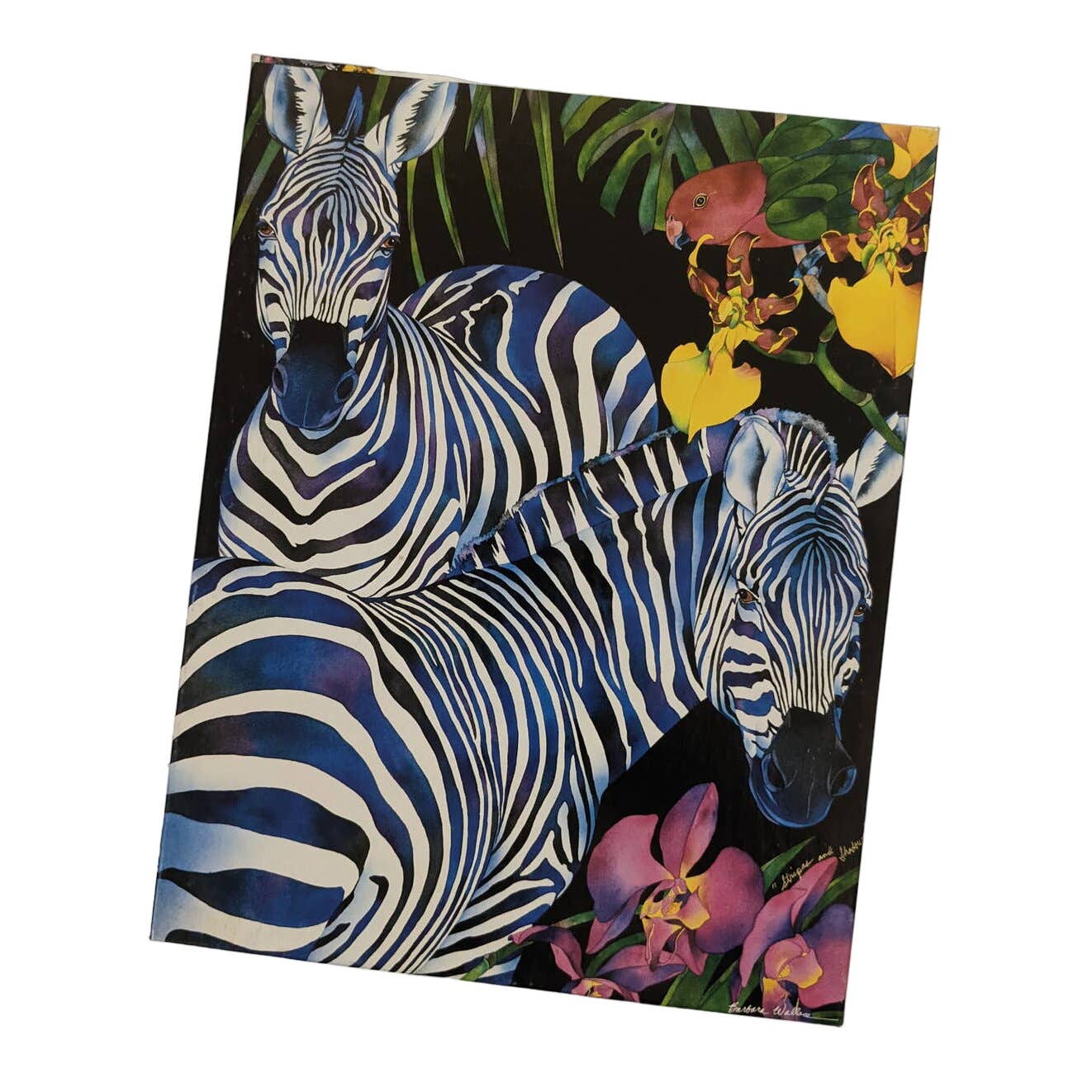 Vintage Zebra Jigsaw Puzzle Stripes and Shadows Barbara Wallace Art 550+ Piece