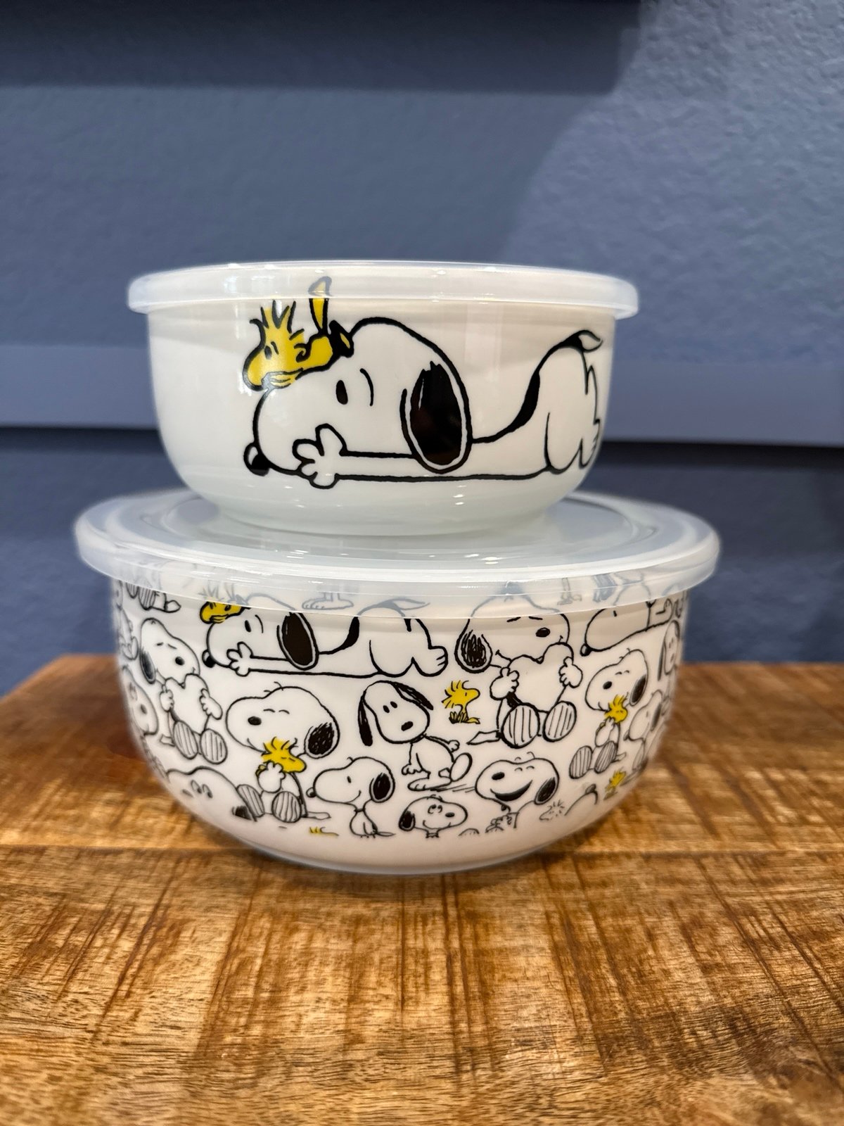 Peanuts Snoopy “Garden Fun” Nesting Bowls with Pressure Release Lids.