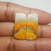 BumbleBee Jasper Natural Gemstone Cab