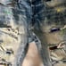 Kloud 9 Shorts