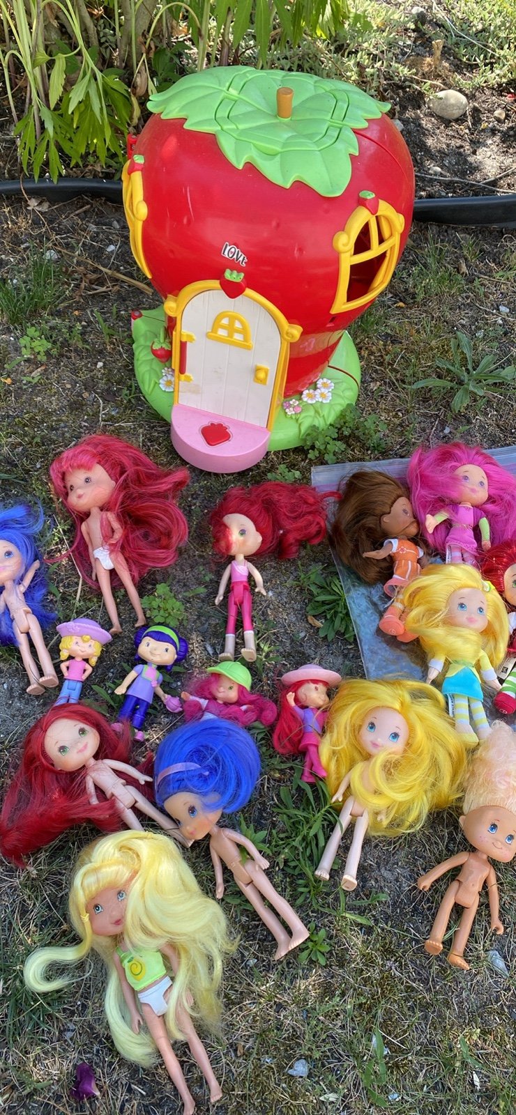 Lot of strawberry shortcake
