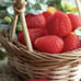 Medium strawberry mold