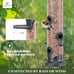 Kingsyard 2 Pack Tube Feeders with 6 Feeding Ports for Outdoors Hanging Premium