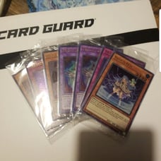 Lost art and true light bundle