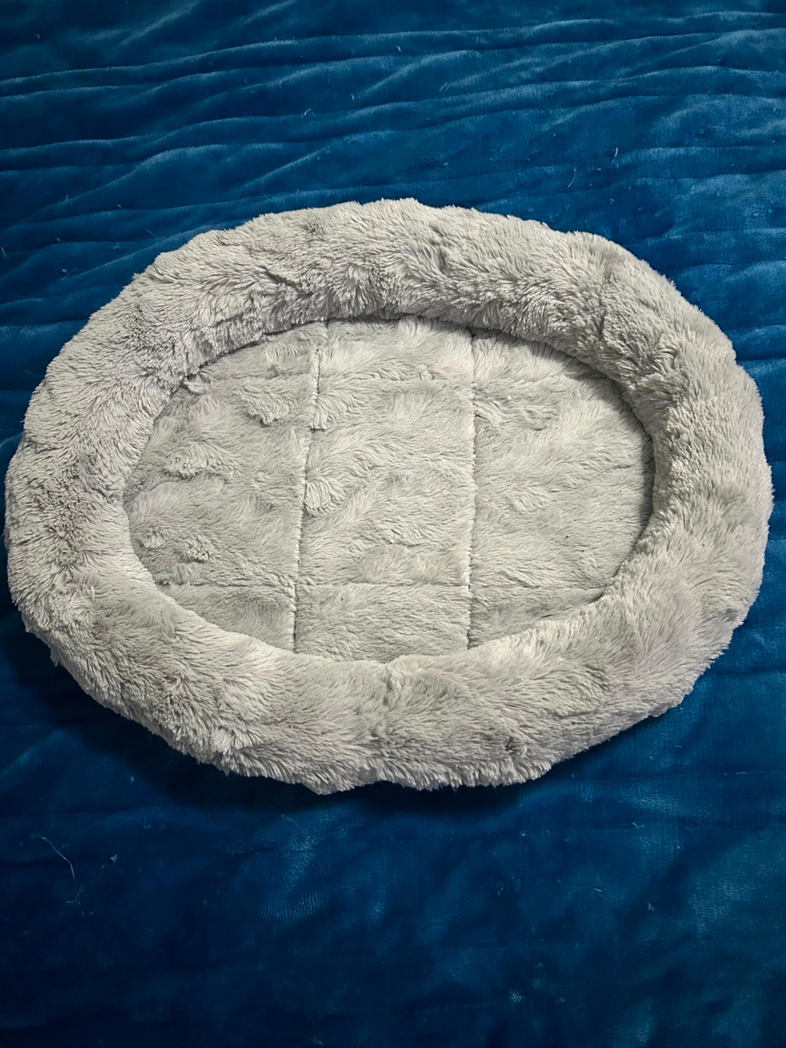 Cat / kitten bed