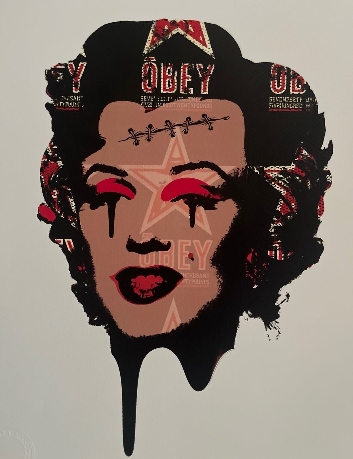 Marilyn Monroe Shepard Fairey DEATH NYC Hand Signed Street Art Print LE w/ COA