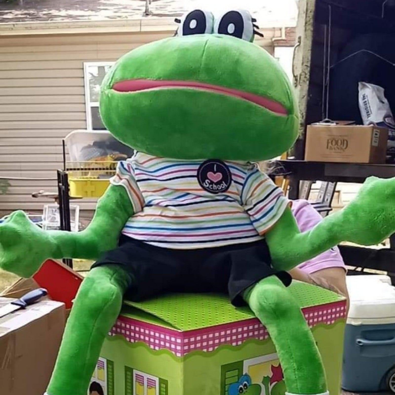 Frogstreet Fernando puppet
