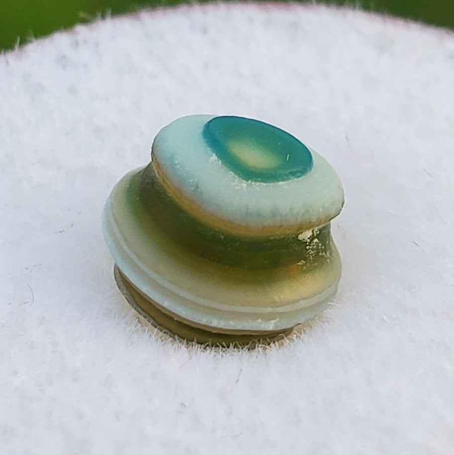 Authentic Miraculo Bead Gobi Eye Agate, Gobi Desert, Mongolia
