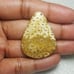 Fossil Coral Natural Gemstone Cabochon