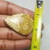 Fossil Coral Natural Gemstone Cabochon